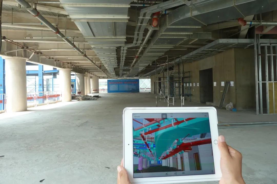 1598057646291858Wabr.jpg 7.jpg