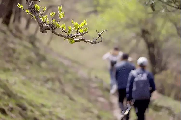 1617413321220683lU5s.jpg 1617413321220683lU5s.jpg