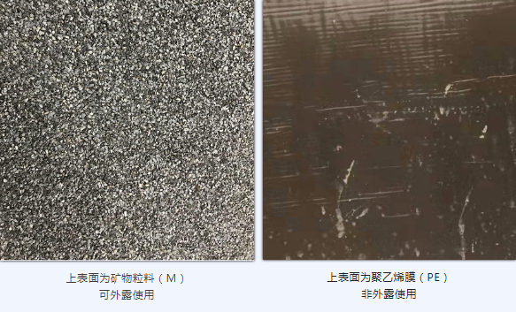 1660523684489832rVND.png 5.png